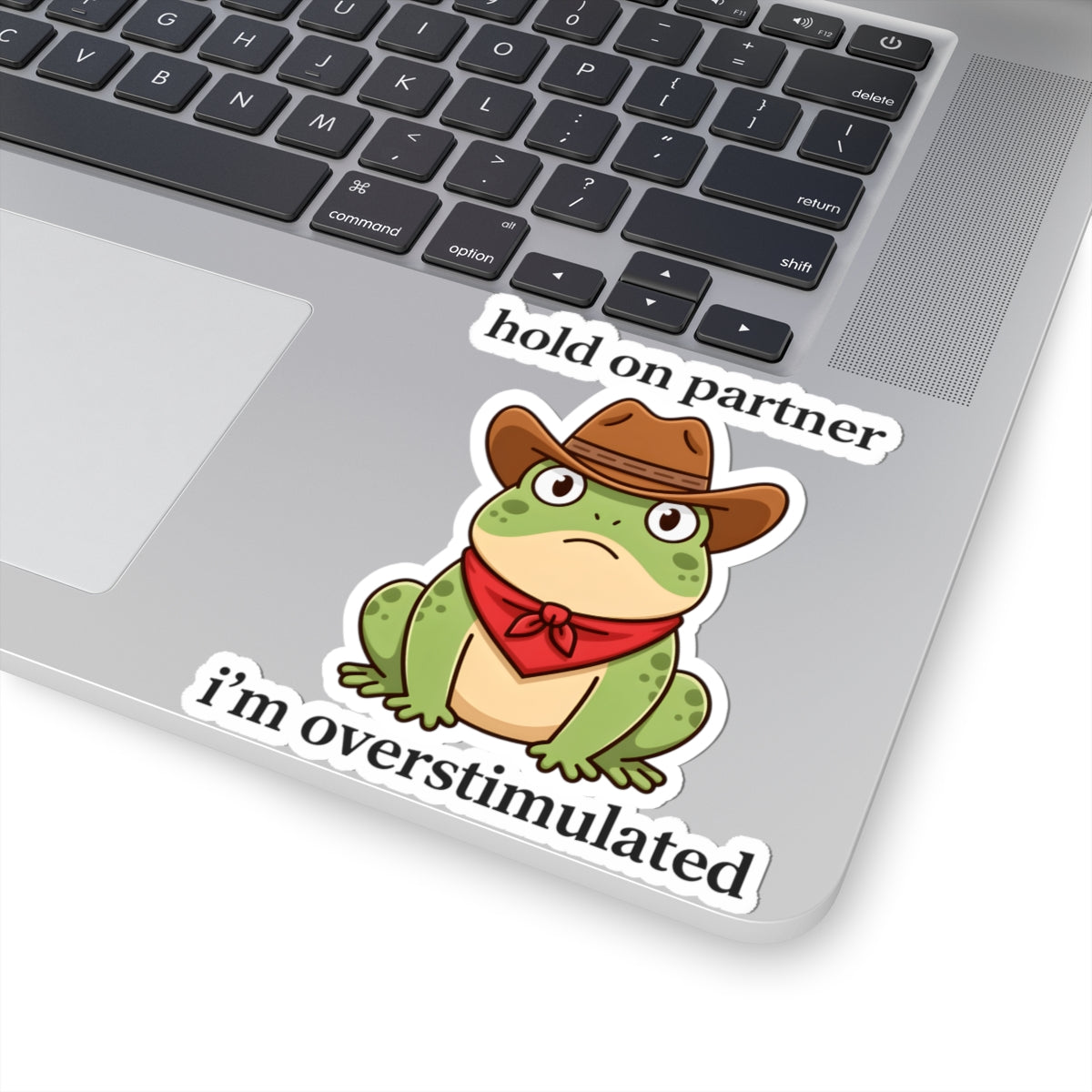 Overstimulated Frog Cowboy Sticker - Hold On Partner Funny Vinyl Decal