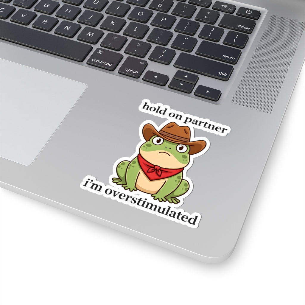 Overstimulated Frog Cowboy Sticker - Hold On Partner Funny Vinyl Decal