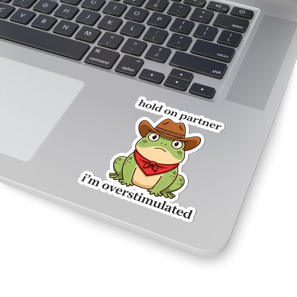 Overstimulated Frog Cowboy Sticker - Hold On Partner Funny Vinyl Decal