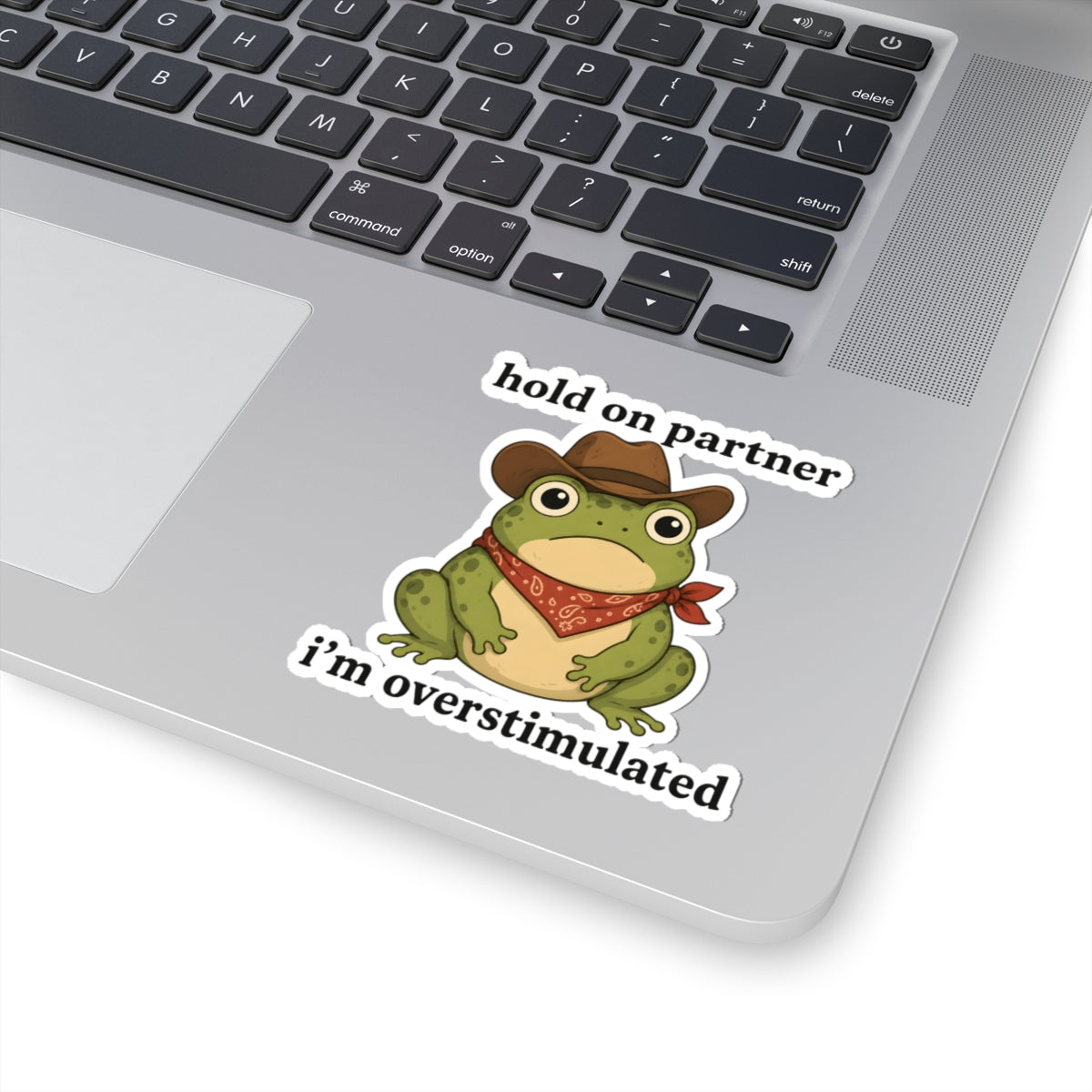 A kiss-cut vinyl sticker featuring a cartoon green frog wearing a brown cowboy hat and red bandana, with the text 'hold on partner i'm overstimulated', shown applied to the lower right corner of a silver laptop.